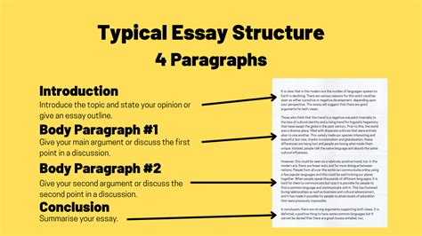 how long is a 3 paragraph essay? exploring the intricacies of structure and content